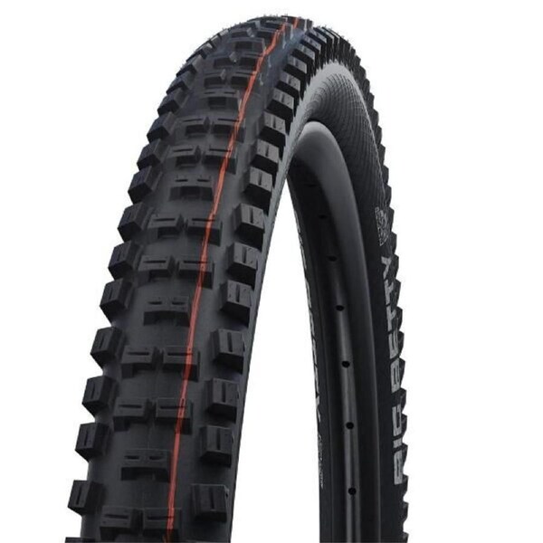 Schwalbe Big Betty 29 x 2.40" Super Gravity Addix Soft Evolution Line Tubeless E-50