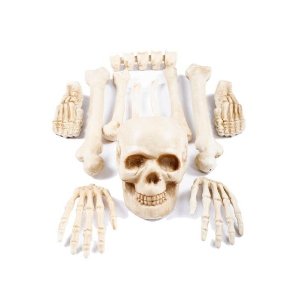 Bag of Bones Skeleton Halloween Decoration