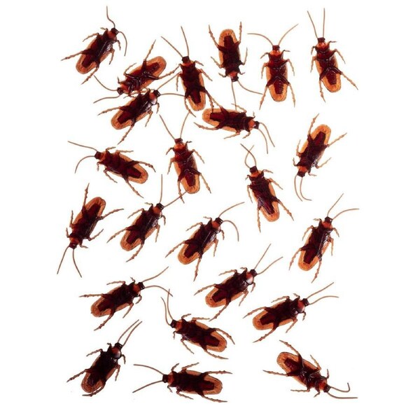 24 Pack of Realistic Cockroaches Halloween Decoration