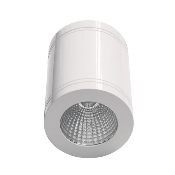 Surface LED Dimmable Surface Mounted Ceiling DownLight 5000K