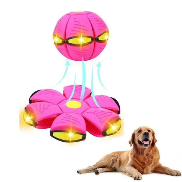 Catzon Flying Saucer Ball for Dogs Cat with 6 Lights Interactive Toys-Rose Red