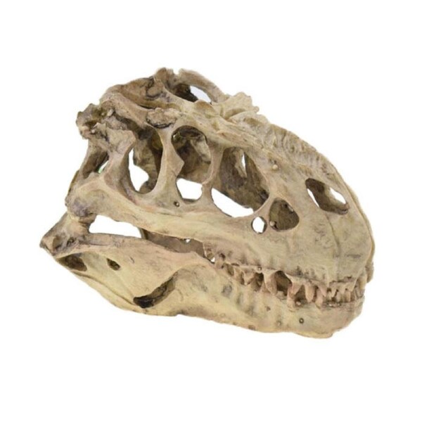 Aquarium Decorations Dinosaur Tyrannosaurus Skull Decor Resin Skull Model for Reptiles Hideout