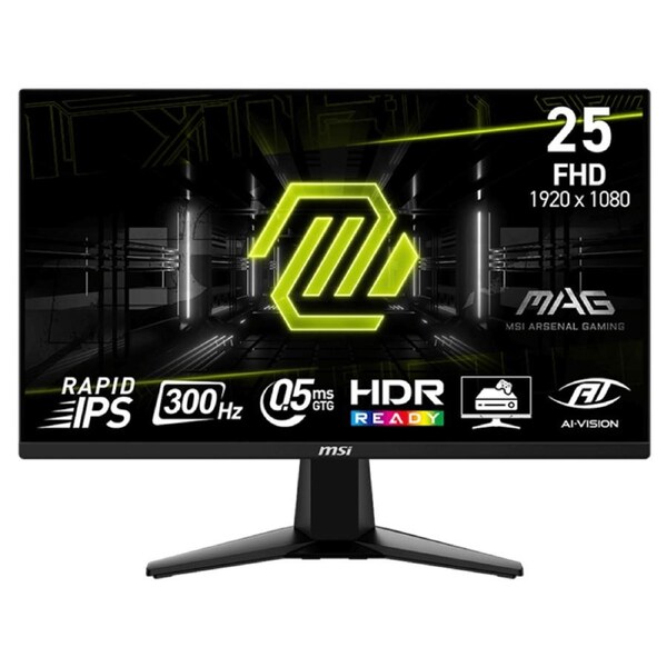 MSI MAG 24.5in Rapid IPS 300Hz Freesync Premium Gaming Monitor (MAG 255XF)