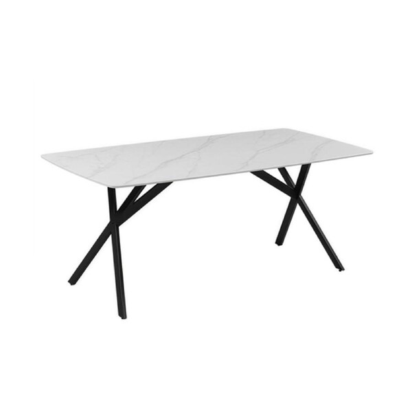 Dining Table Rectangular Shape White Sintered Stone Top Powder Coated Iron Legs