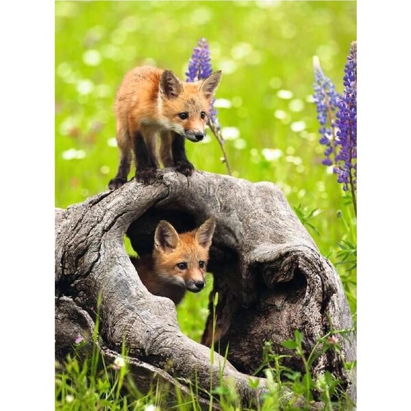 Ravensburger - Cheeky Foxes Puzzle 300pc