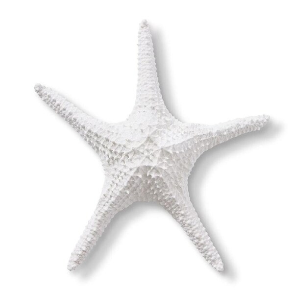 E Style Starfish Bat Star Sculpture Ornament Tabletop Home Decor 32cm White