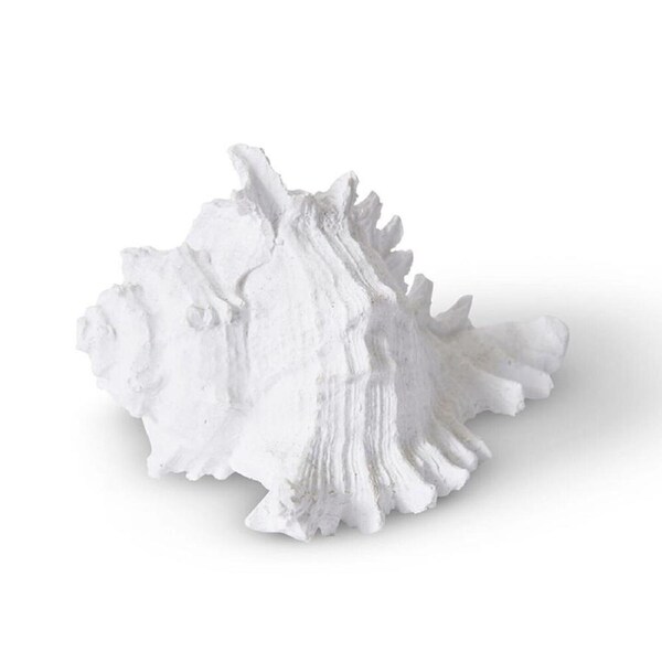E Style Shell Murex Sculpture Figure Ornament Tabletop Home Decor 14cm White