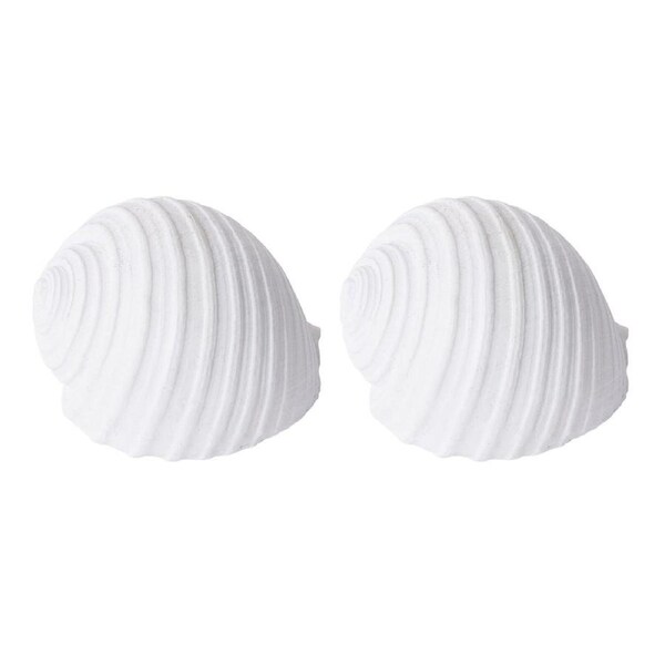 2PK E Style Shell Moon Snail Sculpture Ornament Tabletop Home Decor 11cm White