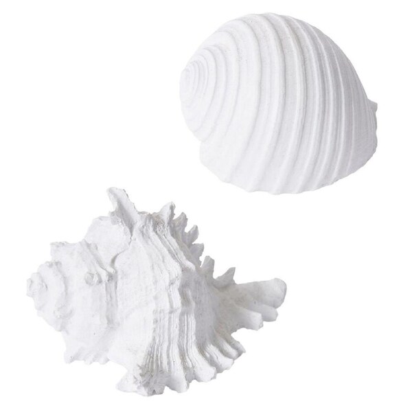 E Style Shell Murex/Shell Moon Snail Sculpture Home Decor Combo Set White