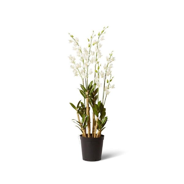 E Style Orchid Dendrobidium Potted Artificial Plant Decor 35x131cm White