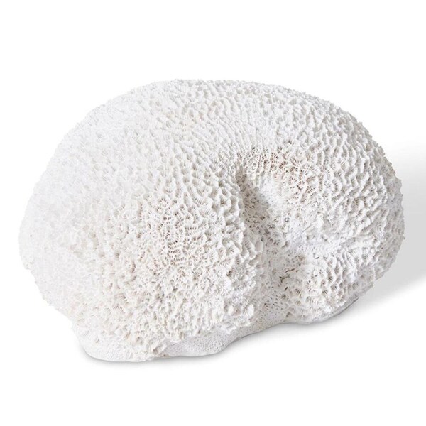 E Style Coral Brain Decorative Display Polyresin Tabletop Decor 23x19cm White