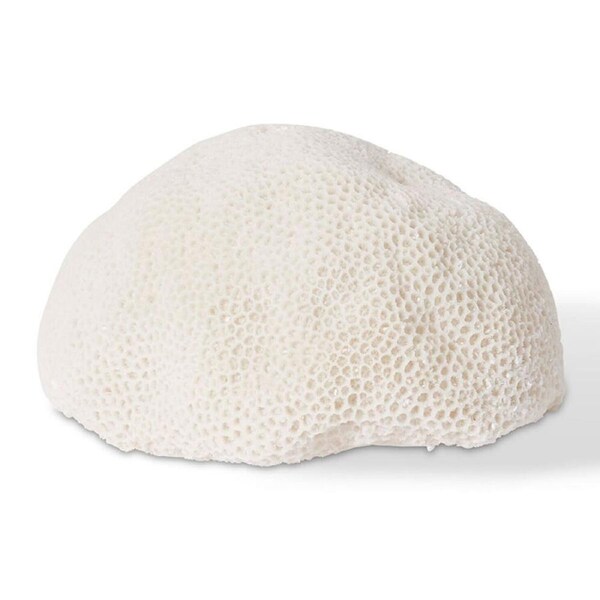 E Style Coral Resin Lamp Starlet Light Tabletop Home Decor 35x27cm White