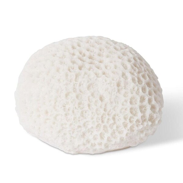 E Style Coral Resin Night Light Starlet Tabletop Home Decor 14x13cm White