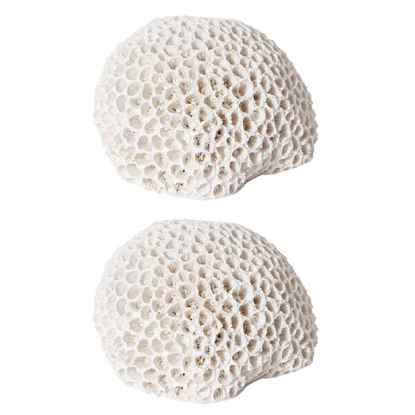 2PK E Style Coral Brain Decorative Display Polyresin Tabletop Decor 16x13cm WHT