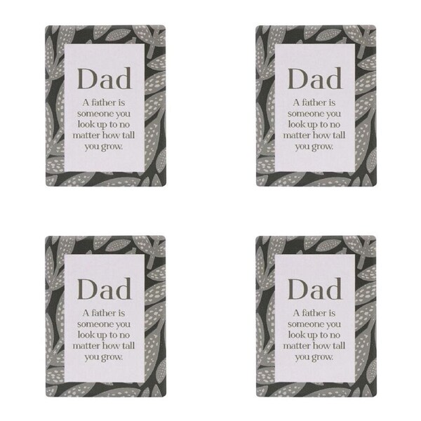 4PK Splosh Amber Garden Dad Ceramic Magnet/Magnetic Home/Office Decor 6x8cm