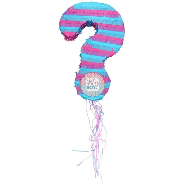 Girl or Boy Gender Reveal Pull String Pinata