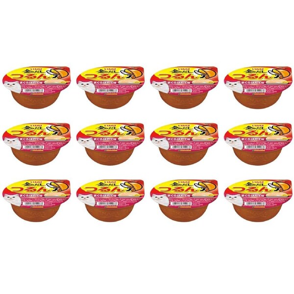 12PK Ciao Tuna w/ Scallop Savory Flavour Pudding Cat/Kitten Pet Food/Meal Treat