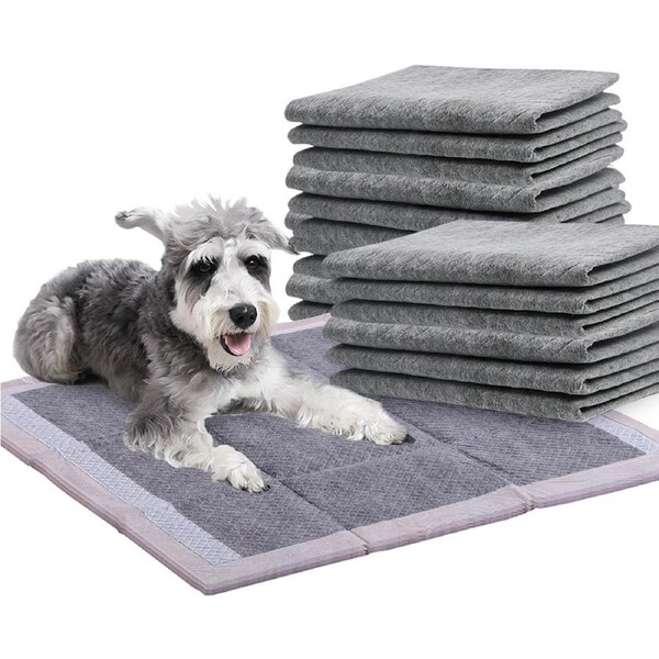 PaWz 100pcs PaWz Puppy Dog Pet Training Pads Toilet Indoor Super Absorbent Cardon