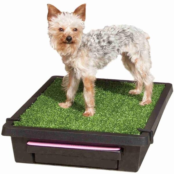 The Pet Loo Small Cat & Dog Backyard / Balcony Toilet In A Box [ PWM00-14497 ]
