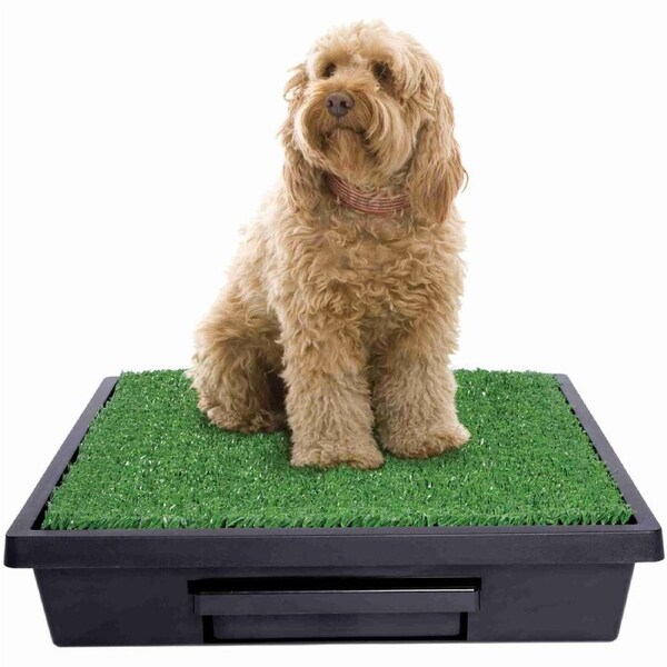 The Pet Loo Medium Cat & Dog Backyard / Balcony Toilet In A Box [ PWM00-14498 ]