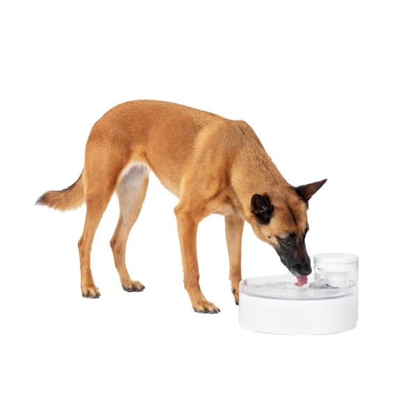 PetSafe(R) Outlast(TM) 3.7L Pumpless Pet Fountain PWW17-18118
