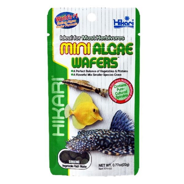 Hikari Mini Algae Wafers Herbivores Fish Food 22 gm