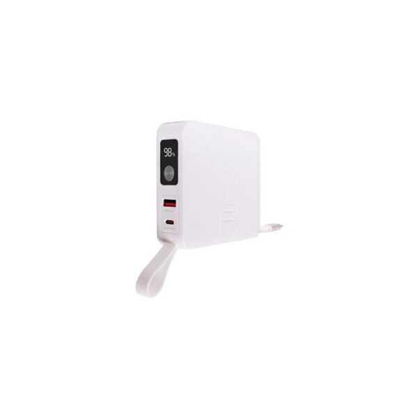 Powertran Travel USB 20W PD Charger And Wireless Power Bank