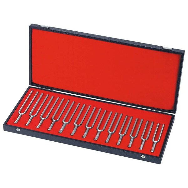 Wittner TF13 Tuning Fork Set C-C Chromatic with Wooden Case