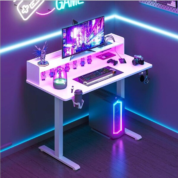 Advwin Electric Standing Desk LED RGB Lights & Power Outlets Computer Desk with Monitor Stand White