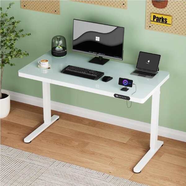 Advwin Electric Standing Desk with Drawer Sit Stand Desk with One-Piece Glass Desktop & USB & Type C 120x60cm White