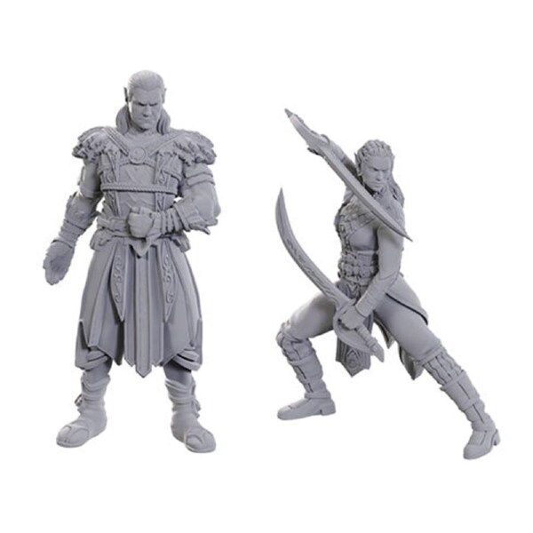 D&D Nolzur's Marvelous Miniatures: Special Edition - Baldur's Gate 3: Jaheira & Halsin