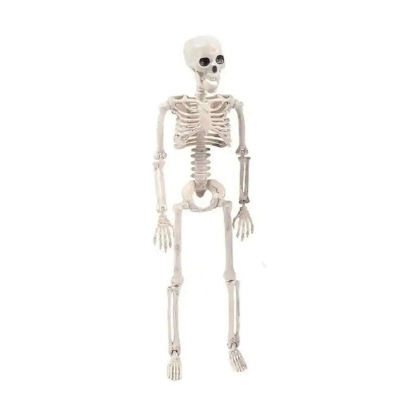 170cm Halloween Poseable Skeleton Full Life Size Human Skeleton Decoration