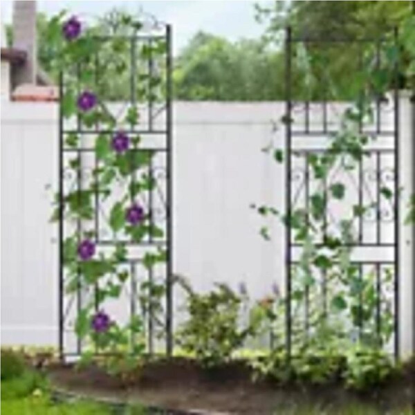 P&P 2x Metal Garden Trellis House Wall Climbing Flower Plant Rose Vine Support Frame