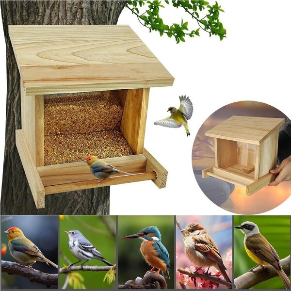 P&P Weatherproof Wild Bird Feeder Wood Box with Perch Plastic Window Squirrel Proof