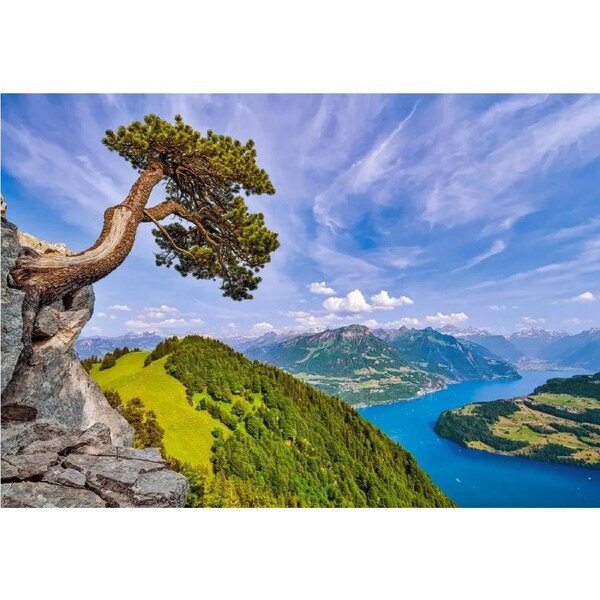 Castorland - View of the Lake of Uri, Switzerland Puzzle 1000pc