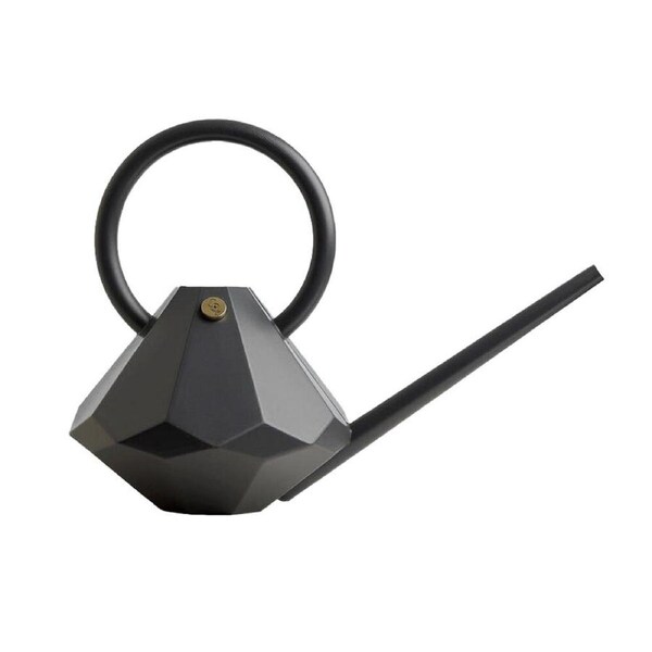 Garden Glory 4L Plastic Watering Can Long Spout Pot Centerpiece Decor Graphite