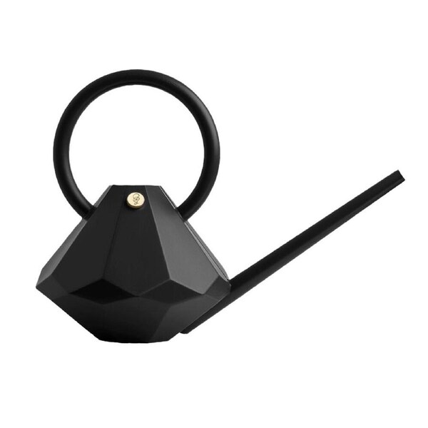 Garden Glory 4L Plastic Watering Can Long Spout Pot Centerpiece Decor Onyx