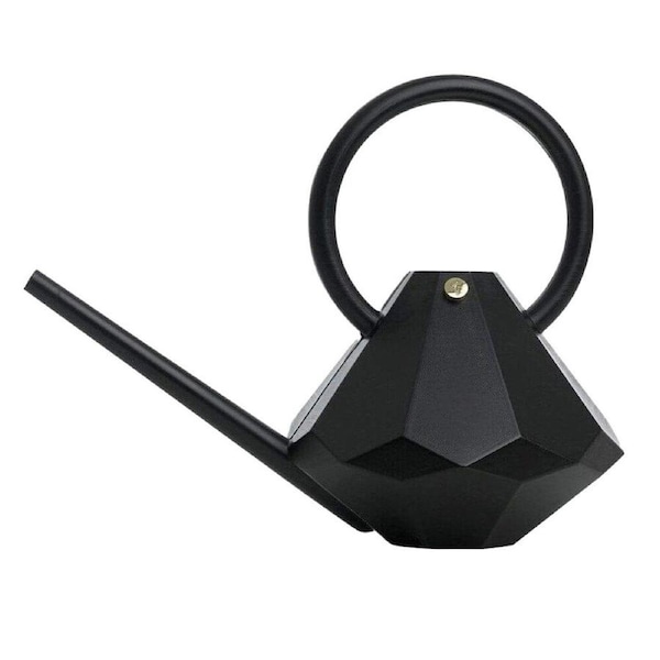 Garden Glory 8L Plastic Watering Can Long Spout Pot Centerpiece Decor Onyx