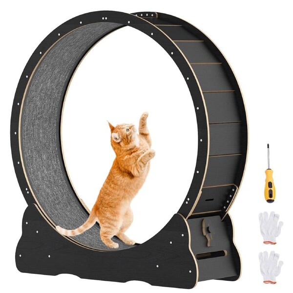 Advwin Cat Exercise Wheel Cat Treadmill Cat Running Wheel 100cm