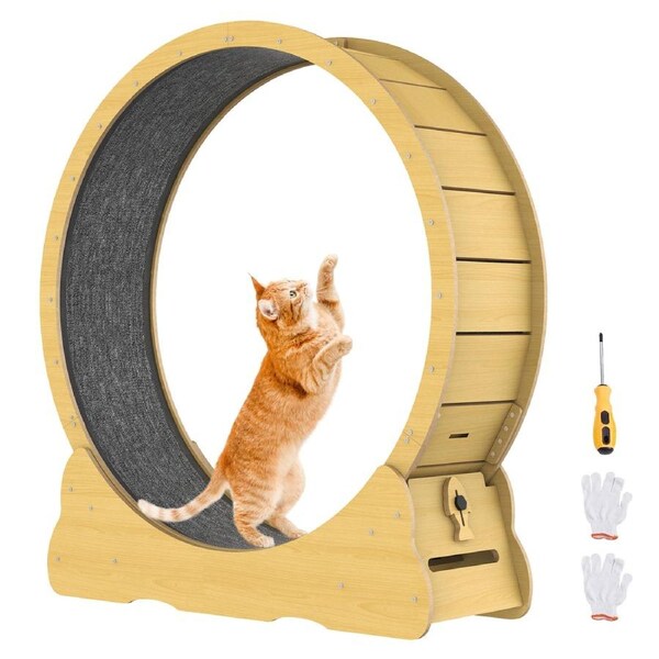 Advwin Cat Exercise Wheel Cat Treadmill Cat Running Wheel