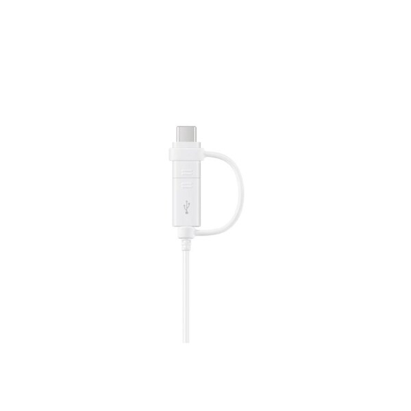 Samsung Data Cable Combo (USB-Type C and Micro USB) (White)