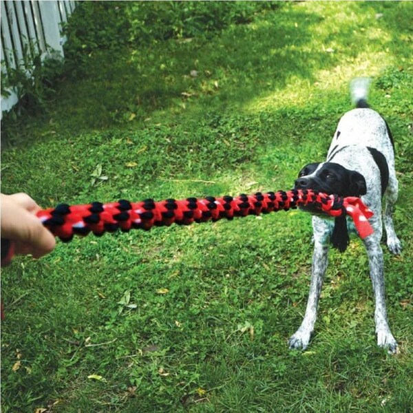 KONG Signature Rope Toy - Dual Knot with Ball Dog Toy - Braided Cotton Chew Toy - Fleece Rope