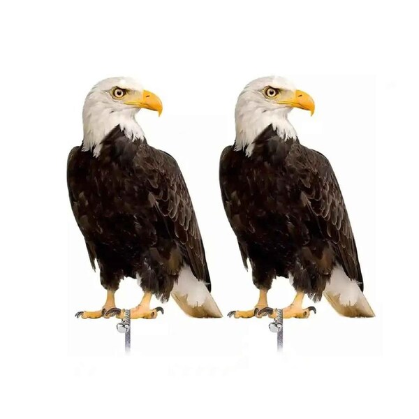 2pcs Hawk Bird Scarer Set Pigeon Deterrent with Tape for Home Roof Pond Garden