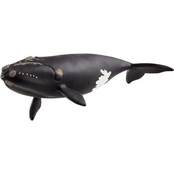 Schleich Wild Life - North Atlantic Right Whale