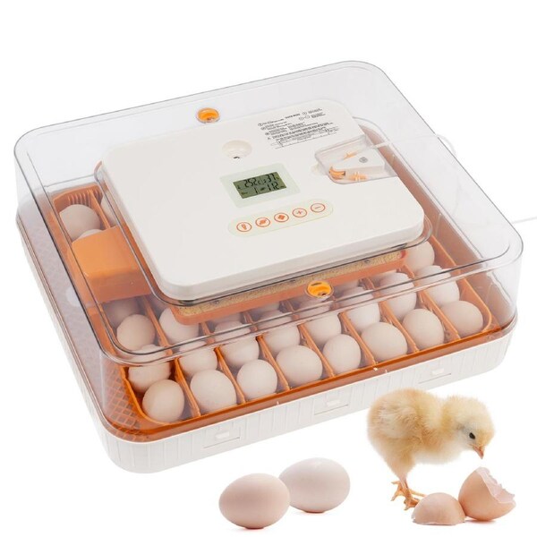 Advwin Automatic 56 Eggs Incubator Eggs Hatcher Auto Egg Turning