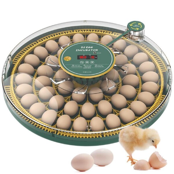 Advwin Automatic 52 Eggs Incubator Eggs Hatcher Auto Egg Turning