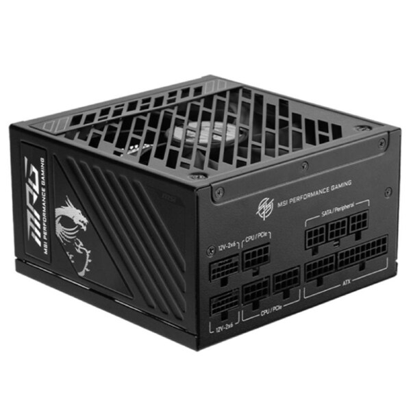 MSI 1250W MPG A1250GS PCIE5 80+ Gold Fully Modular PCIE 5.1 ATX 3.1 Power Supply (MPG A1250GS PCIE5)