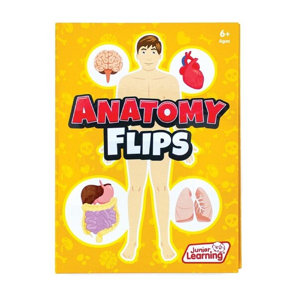 Anatomy Flips