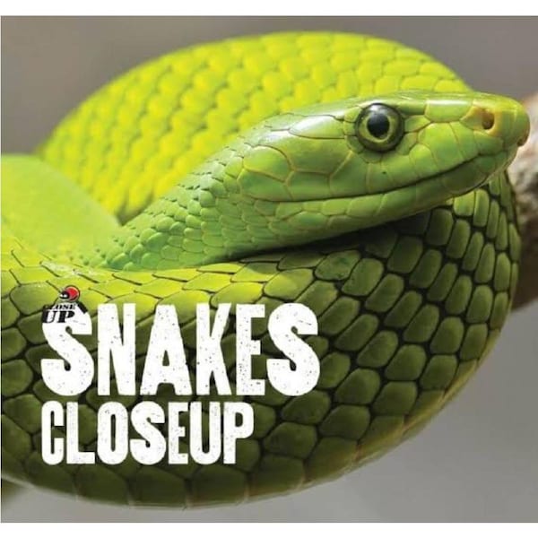 Snakes Close up