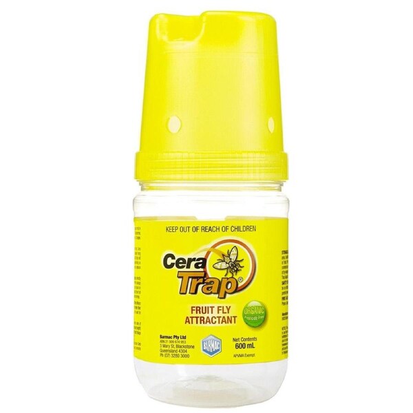 3x Fruit Fly Trap Cera Trap® 600ml Organic Fruitfly Catcher Natural Empty